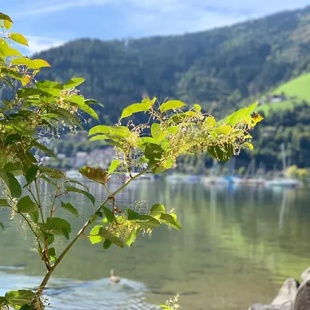 Design Sonnrain Апартаменты